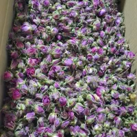 غنچه گل محمدی کیلویی ۲۸۰۰