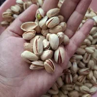 فروش انواع پسته .مغز پسته.پودر پسته