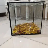 جعبه شیشه ای تزئینی بزرگ