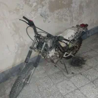 تریل gy