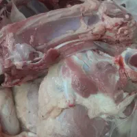 گوشت بره ی تازه