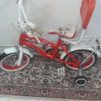 دوچرخه ۱۲ دخترونه.