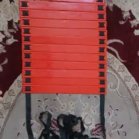 نردبان چابکی ورزشی