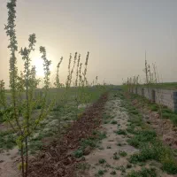 باغ-1200متر-جاده-فیلخانه-جنب-پایتخت