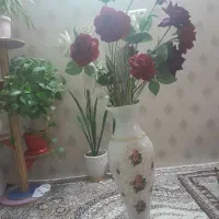 گلدان|گل و گیاه طبیعی|مشهد, سرافرازان|دیوار