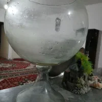 تنگ ماهی بزرگ و لوازم اکواریوم