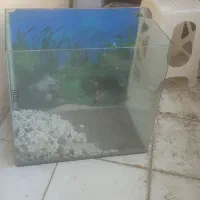 شیشه اکوایوم