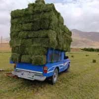 پرس یونجه گل بدون علف