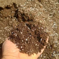 فروش خاکبرگ و بستر کشت هلندی