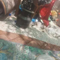 یک عدد. پیک‌نیک