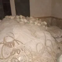 تور محاصره ای