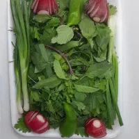 پذیرش سفارش پاک کردن سبزی و آماده‌سازی مواد غذایی