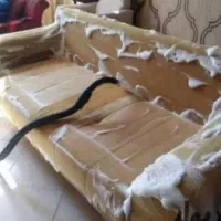 مبل شویی مبلشویی در شهر ری