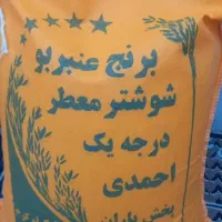 برنج عنبر بو شوشتر