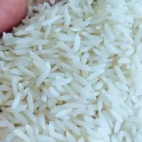 برنج هاشمی درجه یک امساله بدون واسطه