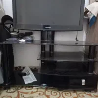 تلویزیون