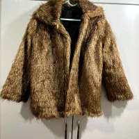 پالتو خزدار