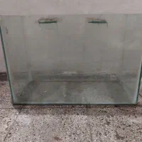 آکواریوم|ماهی|مشهد, ابوذر|دیوار