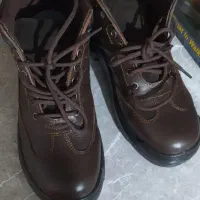 کفش ایمنی بهشتیان