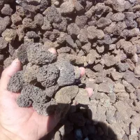 بزرگترین پخش کننده پوکه در قروه