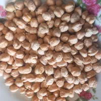 نخود سفید و پزا
