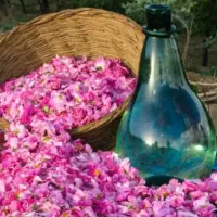 گلاب دو اتیشه اصل