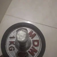 دمبل