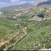 نیازمند کارگر جهت کار در گلخانه