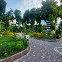 نیروی نگهبان شب