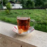 قندو نبات گیاهی و آبنبات