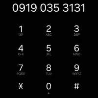 31 31 035 0919