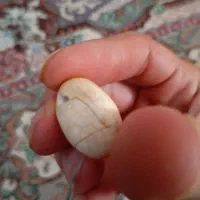 مهره|جواهرات|آمل, |دیوار