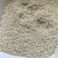 فروش برنج طارم هاشمی