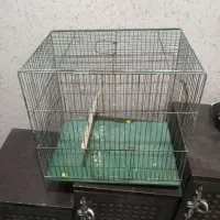قفس