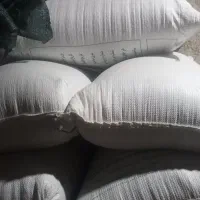 غلات