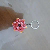 جا سوئیچی (جا کلیدی )