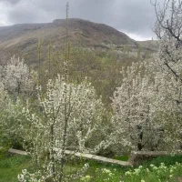 زمین-گردشگری-برای-ساخت-تله-کابین