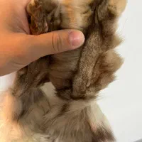 مناسب شالگردن و لباس و دستکش