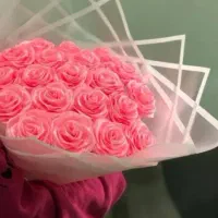گل ربانی ارزان