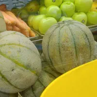 کارگر در بستنی فروشی نیازمندیم