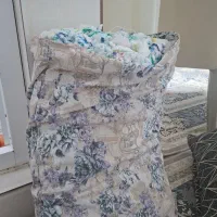 کاموا