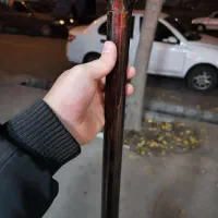 عصا چوبی ساده و گردو و چنار (پزشکی شهر)