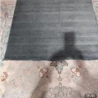 پالاز موکت طرح پونه