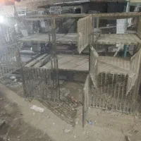 جفتگا|لوازم جانبی حیوانات|کرمان, |دیوار