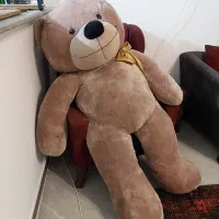 خرس شاسخین