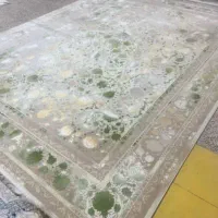 فرش ۱۲۰۰ شانه قیمت تولیدی