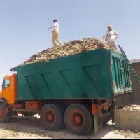 کود مرغی و گاوی به شرط