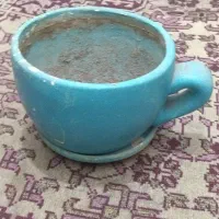 گلدان|گل و گیاه طبیعی|قم, سرحوض|دیوار