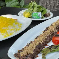 سالنکار
