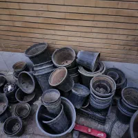 گلدون گلخانه ای